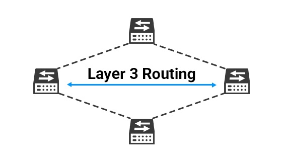 Hardware-Based Layer 3 Routing and OSPF Protocols Advanced enterprise-level Layer 3 network management layout executing OSPF, RIP, and IPv4/IPv6 hardware routing on a multi-gigabit switch engine.