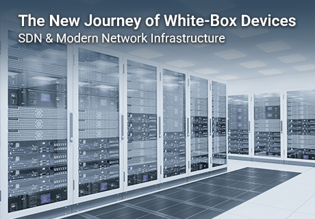 The New Journey of White-Box Devices